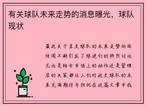 有关球队未来走势的消息曝光，球队现状